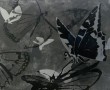 Fish n Fly 1 Kunstwerk Fish n Fly 1