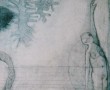 de zee zit vol vis Kunstwerk de zee zit vol vis