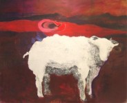 Rood Schaap Rood Schaap