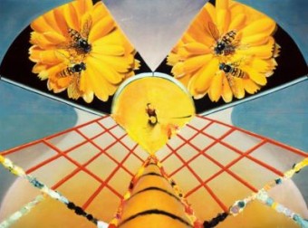 Cross-pollination Cross-pollination