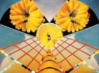 Cross-pollination Cross-pollination
