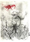 Hommel 1 Hommel 1