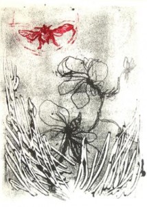 Hommel 1 Hommel 1