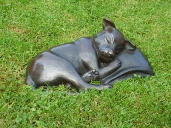 Hond Hond
