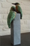 IJsvogels IJsvogels