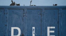 Container 15 Container 15