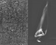 Body and soul Kunstwerk Body and soul