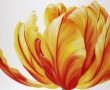 JOY OF SPRING Kunstwerk JOY OF SPRING