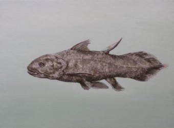 coelacanth