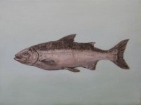 Zalm Zalm