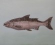 Zalm Kunstwerk Zalm