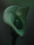 5917 5917