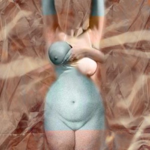 Torso uitsnede Torso uitsnede