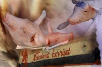 varkensvlucht varkensvlucht