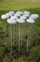 Lente Kunstwerk Lente