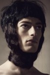 arabian prince 5 arabian prince 5