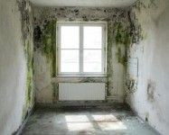 kamer 1.1 kamer 1.1