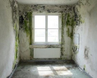 kamer 1.1 kamer 1.1