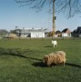 Dat wat geweest is: Herinneringen voor de toekomst (9) Kunstwerk Dat wat geweest is: Herinneringen voor de toekomst (9)