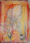 die Hochzeitsblume Kunstwerk die Hochzeitsblume