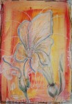 die Hochzeitsblume die Hochzeitsblume