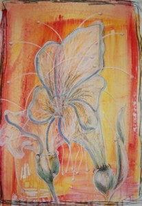 die Hochzeitsblume die Hochzeitsblume