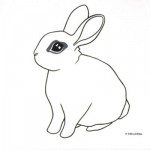 sweetrabbit03 sweetrabbit03