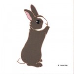 sweetrabbit04 sweetrabbit04