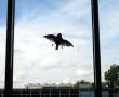 Untitled Bird Kunstwerk Untitled Bird