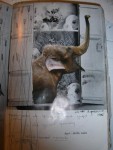 pagina uit artistbook pagina uit artistbook