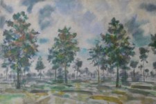 bomenlandschap bomenlandschap