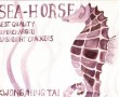 Seahorse Flashlight Crackers Kunstwerk Seahorse Flashlight Crackers