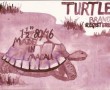 Turtle Flashlight Crackers Kunstwerk Turtle Flashlight Crackers