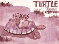 Turtle Flashlight Crackers Turtle Flashlight Crackers