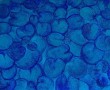 blue Kunstwerk blue