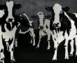 Cow Parade Kunstwerk Cow Parade