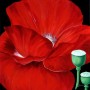 RED POPPIE IN THE DARK Kunstwerk RED POPPIE IN THE DARK