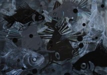 Fish Mix Fish Mix