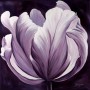 ELEGANT AUBERGINE Kunstwerk ELEGANT AUBERGINE