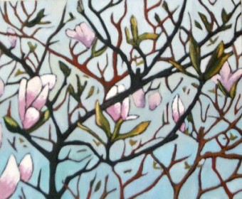 magnolia magnolia