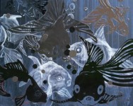 Aquarium 2 Aquarium 2