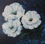 bloemen: wiite rozen bij maanlicht bloemen: wiite rozen bij maanlicht
