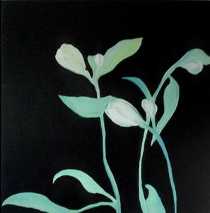 lilyland lilyland