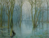 Verdronken Bos Verdronken Bos