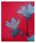 magnolia magnolia