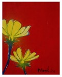 flowers red/yellow flowers red/yellow