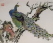 chinese penseelschildering: PAUW OP BOOMSTRONK Kunstwerk chinese penseelschildering: PAUW OP BOOMSTRONK