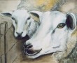 TWEE SLOME SCHAPEN Kunstwerk TWEE SLOME SCHAPEN