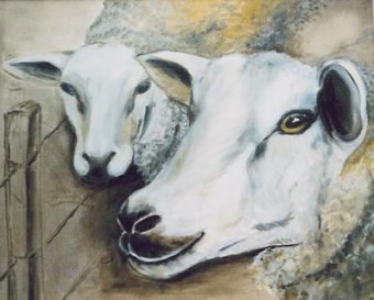 TWEE SLOME SCHAPEN TWEE SLOME SCHAPEN