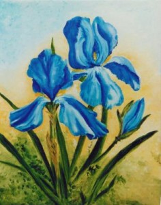 BLAUWE IRISSEN BLAUWE IRISSEN